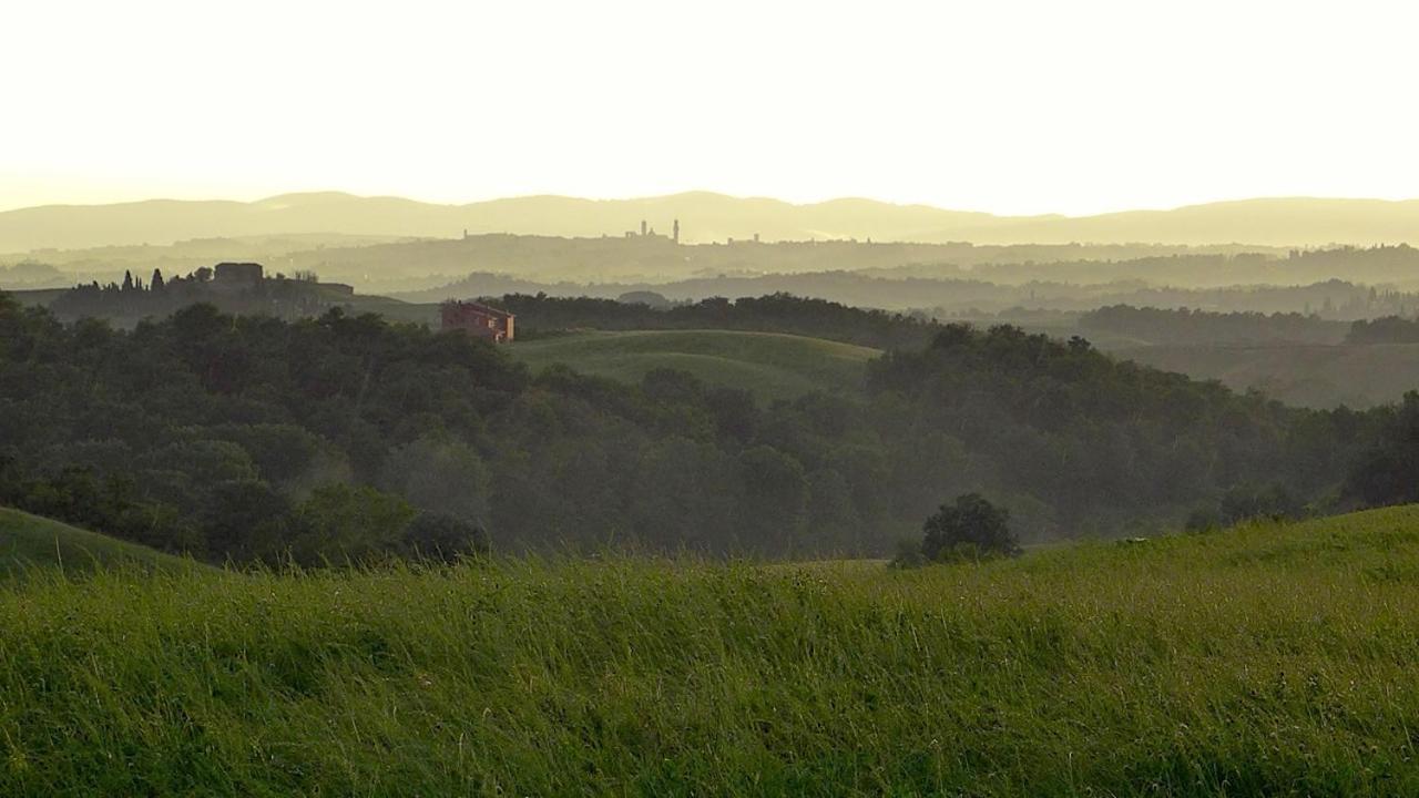 Agriturismo San Fabio Castelnuovo Berardenga Exterior foto